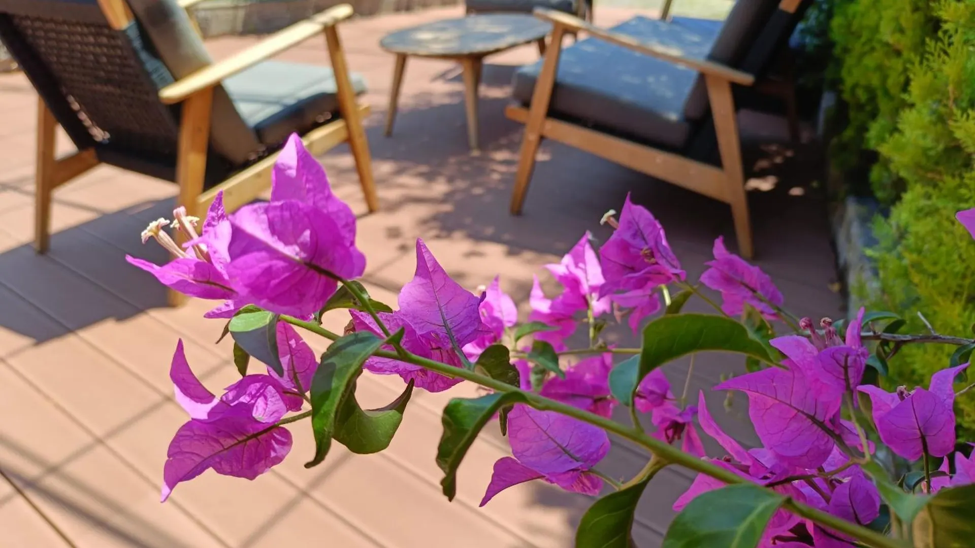La Cabana Cinque Terre Monterosso مونتيروسّو ال ماري