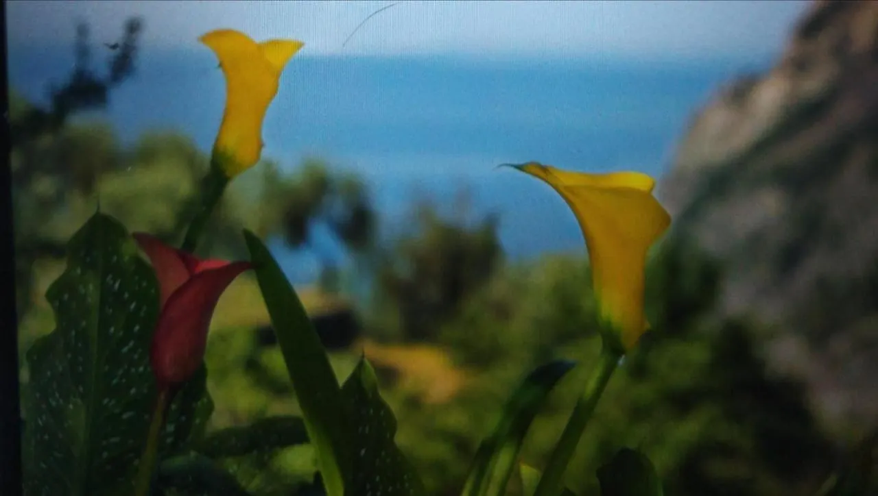 La Cabana Cinque Terre Monterosso Monterosso al Mare Guest house